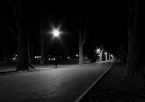 Dark_Pathway__by_necroparkour
